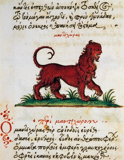 Treatise on Gryphon, text and miniature from De animalium natura et proprietate libellus, by Aelianus (2nd-3rd century AD) by Greek School