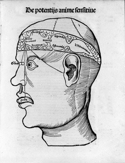 Brain cutting: study for the localization of different brain functions. Engraving from “Margarita phylosophia” by Gregor Reisch, Bale by Gregor Reisch