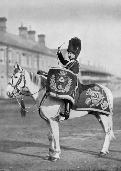 Plum Duff, the drum-horse of the Royal Scots Greys, 1896 by Gregory and Co