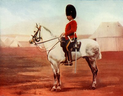 Sergeant-Major of the 2nd Dragoons. Royal Scots Greys, 1900 by Gregory and Co