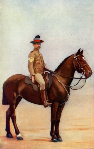 Sergeant-Major of the New South Wales Lancers, 1900 by Gregory and Co