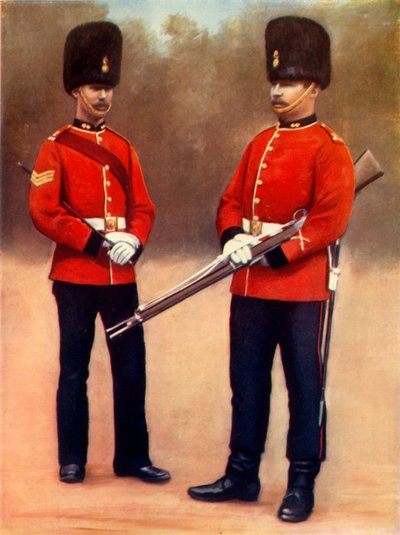 Sergeant and Private of the Dubin Fusiliers by Gregory and Co
