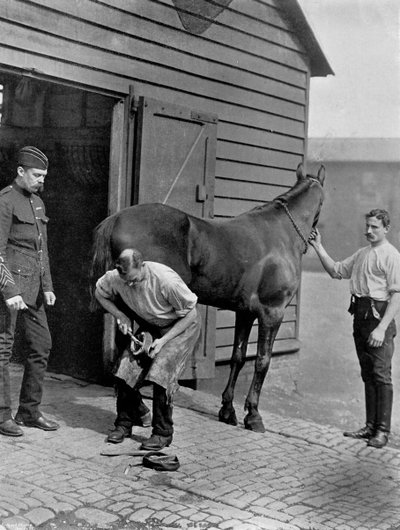 The Farrier-Major of the Royal Horse Guard, 1896 by Gregory and Co