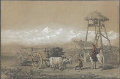 The Cossacks
