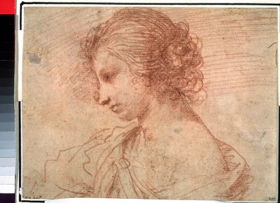 Young Girl