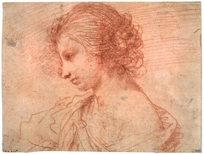 Breast Portrait of a Young Female by Guercino