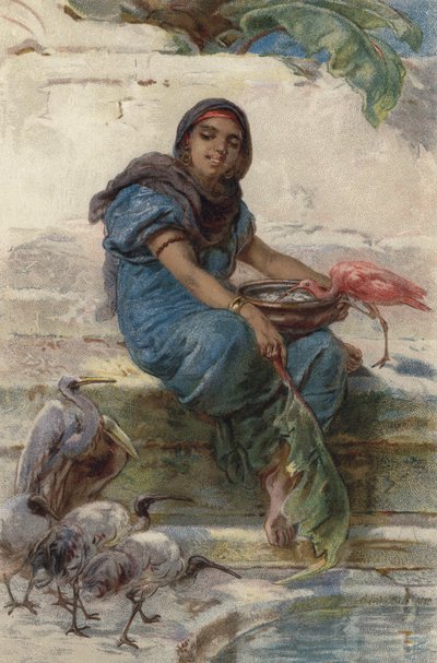 Feeding the Sacred Birds by Guido Bach