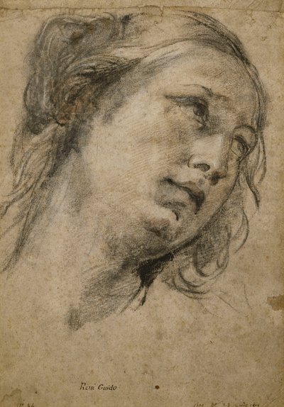 Head of a Woman Looking Up to the Right by Guido Reni