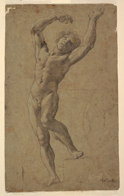 Study for St. Sebastian, Museo Pomarici Santomasi, Puglia, Italy by Guido Reni