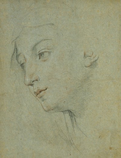The Head of a Woman Looking Down to the Left by Guido Reni
