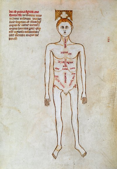 Surgery: Representation of the Human Body. Miniature in 