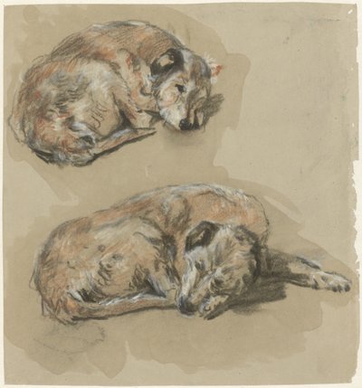 Two Studies of a Lying Dog by Guillaume Anne van der Brugghen