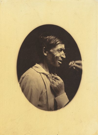 Gaiety Expressed by the Ideas of Lustfulness, Cynicism and Lewdness by Guillaume Benjamin Amant Duchenne