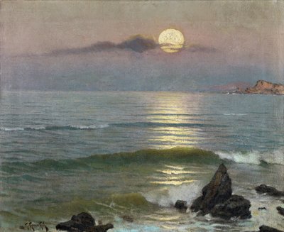 Moonlight by Guillermo Gomez y Gil