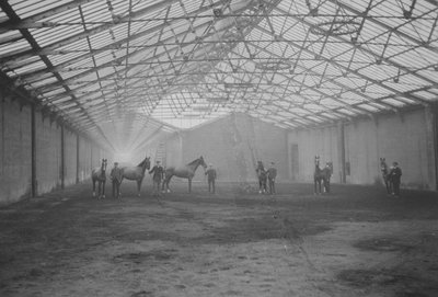 Horses and Grooms in the Tan Gallop, Welbeck Estate by Gunn and Stuart