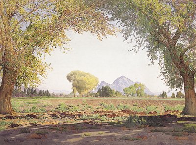 The Salt River Valley by Gunnar Widforss
