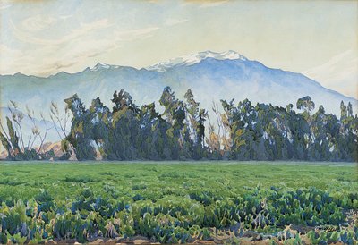 The Sierra Nevada Mountains by Gunnar Widforss