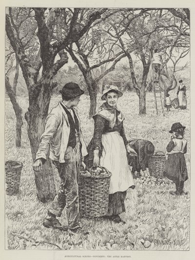 Agricultural Scenes, November, the Apple Harvest by Gunning King
