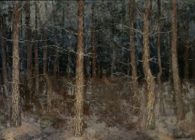 Mystical Paths, Forest View by Gust van de Wall Perne