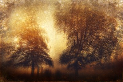 Golden Misty Trees by Gustav Davidsson