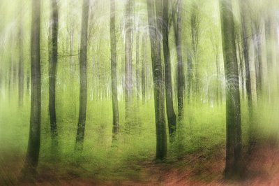 Spring Impression by Gustav Davidsson