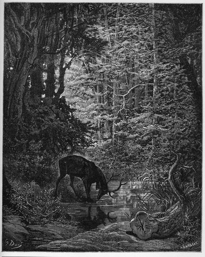 The Deer Which Shows Itself in the Water - from 