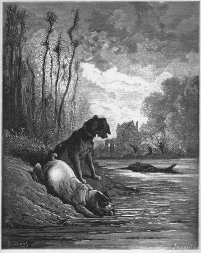 The Two Dogs and the Dead Donkey - from 