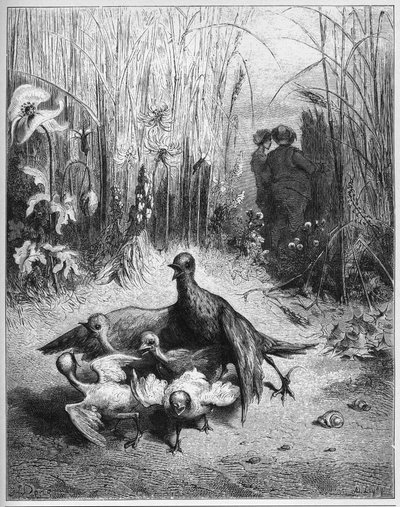The Lark and Her Young Ones With The Owner Of A Field - from 