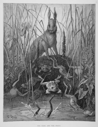 The Hare and the Frogs, from 