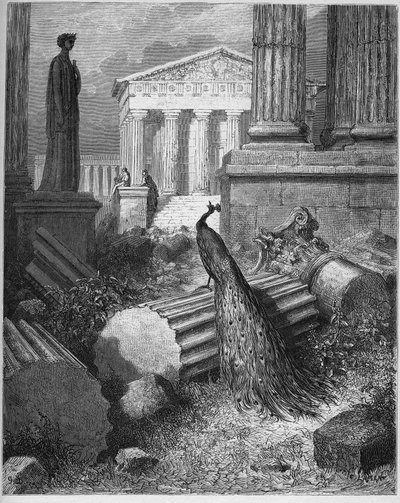 The Peacock Complaining To Juno - from 