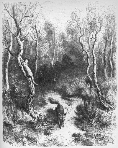 The Fox and the Cat - from 