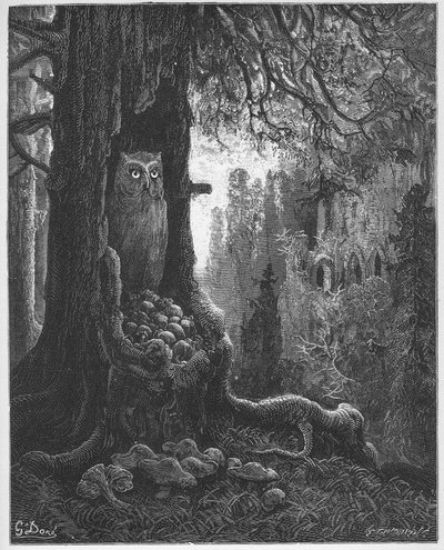 The Mice and the Owl - from 