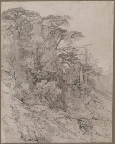 Trees of a Rocky Hillside by Gustave Achille Guillaumet