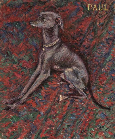 The Dog 