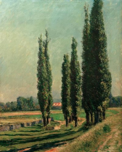Poplars on the Dike of Argenteuil, at Petit Gennevilliers by Gustave Caillebotte