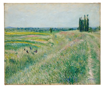 The Plain of Gennevilliers, Group of Poplars, c.1883 by Gustave Caillebotte
