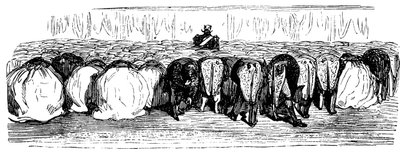 History of Holy Russia. A great ball in the Winter Palace by Gustave Dore
