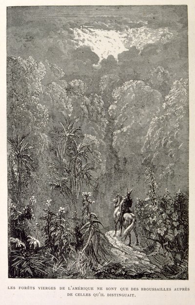 Illustration of American forest (from La legende de Croque-Mitaine) by Gustave Dore