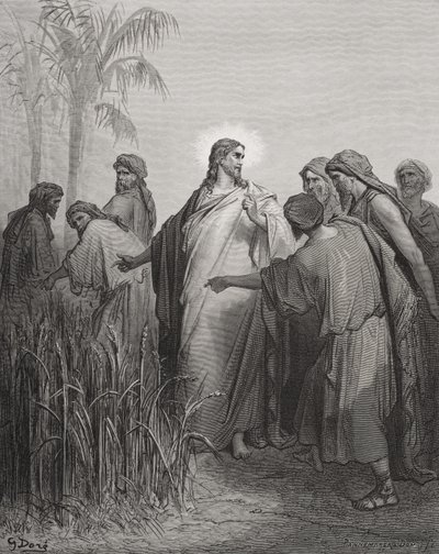 Jesus and His Disciples in the Corn Field, Illustration from Dore