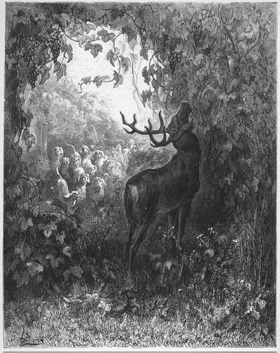 The Deer and the Vine - from "Fables" by Jean de La Fontaine by Gustave Dore