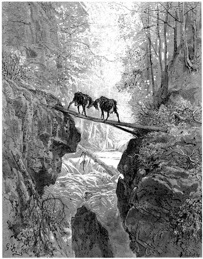 Les deux chèvres: fable by Jean de la Fontaine illustrated by Gustave Dore - forest, stream by Gustave Dore