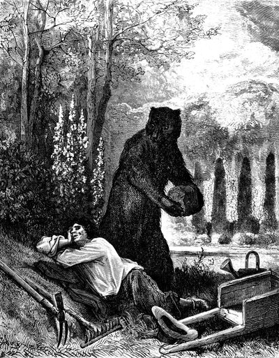 The Bear and the Gardener by Gustave Dore
