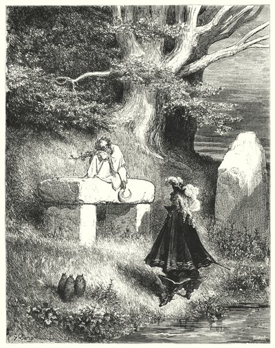 Donkey Skin by Gustave Dore
