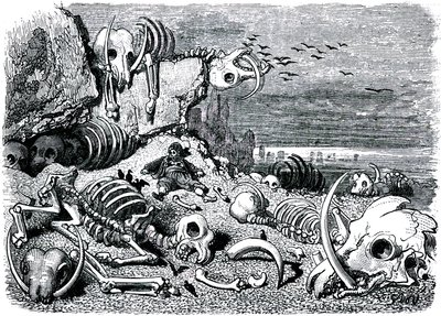 Sindbad the sailor (Sinbad) - tale of the thousand and one (1001) nights - illustration by Gustave Dore - edition Maxwell 1865 - Seventh and last voyage: the cemetery of the elephants where Sindbad will recover the ivory defenses by Gustave Dore
