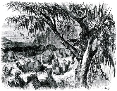 Sindbad the sailor (Sinbad) - tale of the thousand and one (1001) nights - illustration by Gustave Dore - edition Maxwell 1865 - Seventh voyage: Sindbad, perch in a tree, pulls with his bow on elephants by Gustave Dore