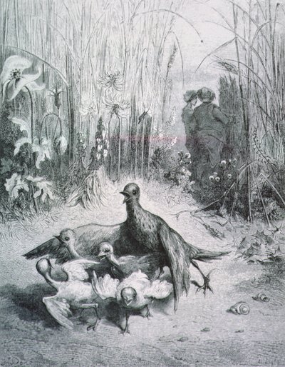 The Fable of the Lark, Her Young Ones and the Master of the Field, Illustration for the Fables of La Fontaine by Gustave Dore