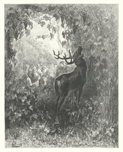 The Fables of La Fontaine: The Stag and the Vine by Gustave Dore