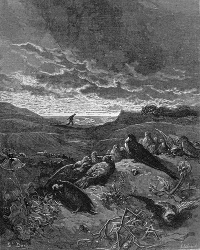 The Swallow and the Birds, illustration from 