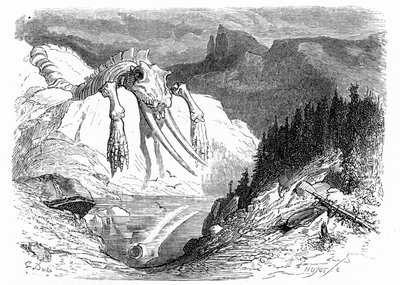 Engraving by Gustave Dore around 1850: Evocation of an Apocalyptic Deluge Following Which Various Monstrous Animals Have Fallen on the Mountain. Illustration of the Book by Hippolyte Taine 