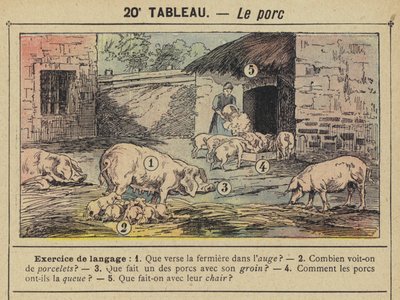 The Pig by Gustave Fraipont